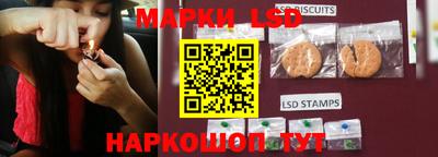прущий лед Будённовск
