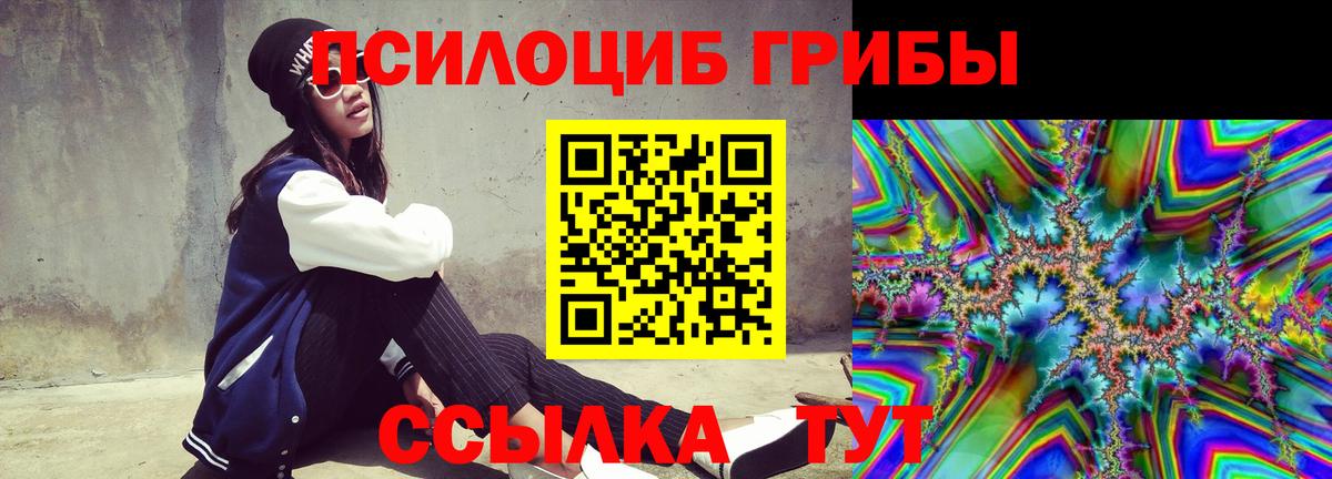 Псилоцибиновые грибы прущие грибы Туапсе