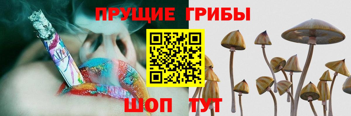 Туапсе  Псилоцибиновые грибы MAGIC MUSHROOMS  Вход с VPN  Галлюциногенные грибы мицелий 